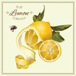 Realistic illustration of lemon