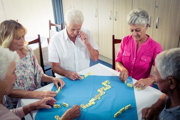 Wall Mural - group of seniors playing dominoes