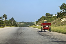 Man Driving Horse And Cart On A Wide Deserted Country Road, Cuba
