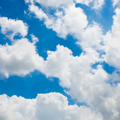 Wall Mural - clouds in the blue sky
