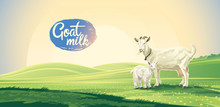 Country Landscape With Goat And Kid In The Pasture. Vector Illustration.