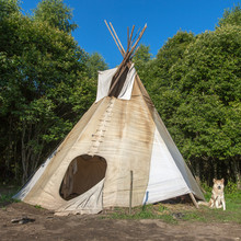 A Single, Solitary Teepee In A Forest. Tepees Were Traditional Housing For Native Americans In Great Plains And Other Western States.
