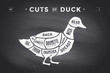 Cut of meat set. Poster Butcher diagram and scheme - Duck. Vintage typographic hand-drawn on a black chalkboard background. Vector Illustration