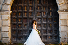 Luxurious Stylish Beautiful Brunette Bride Against The Background Of The Old Wooden Door Brown