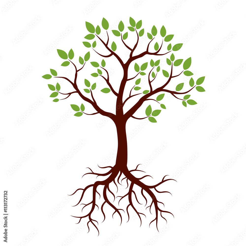 Baum Mit Wurzeln Ausmalbild Baum Umriss Malvorlagen M vrogue.co