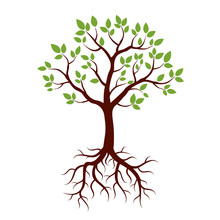 Shape Of Tree, Roots And Green Leafs. Vector Illustration.