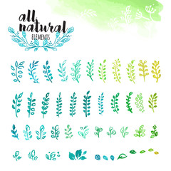 Wall Mural - set of hand drawn watercolor natural elements, leaves and tree branches. vector illustrations for gr