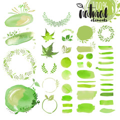 Wall Mural - set of hand drawn watercolor natural elements, brushes, wreathes, ribbons, frames, ornaments, patter