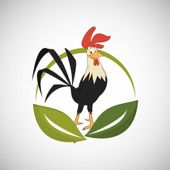 Animal design. rooster icon. Isolated illustration, white backgr