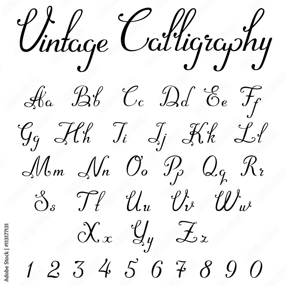Vintage Calligraphic Script Font vector letters numbers Symbols Stock ...