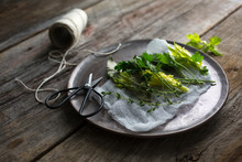 Fresh Herbs And Scissors On Plate