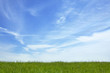 © Cavan Images - Blue sky over grassy meadow