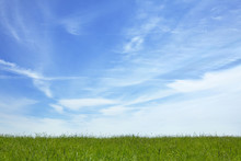 Blue Sky Over Grassy Meadow