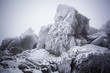 © Cavan Images - Rock formation covered with snow and ice