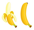 Yellow banana . Vector illustration