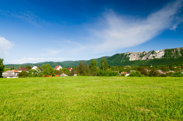 Wall Mural - green field and blue sky