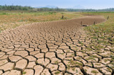 Fototapeta  - Global warming, Drought.