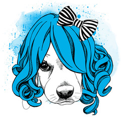 Wall Mural - The poster with the image of the dog in the wig with bow. Vector illustration.