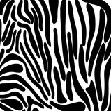 Fototapeta Konie - Pattern of zebra vector.