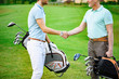 © Yakobchuk Olena - Golfers shake hands with each other