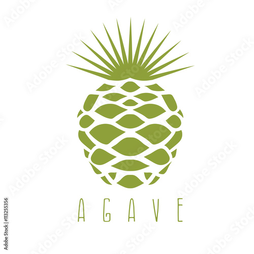 vector design template of the agave plant Stock Vector | Adobe Stock