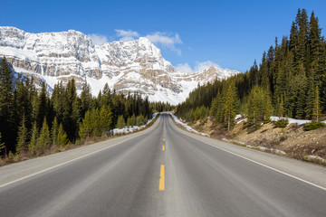 Road Trip in the Rocky Mountains. Picture taken in Icefields Pkwy, Alberta, Canada, near Banff.