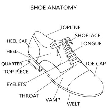 Fashion Illustration - Raster Illustration of the anatomy of a shoe

