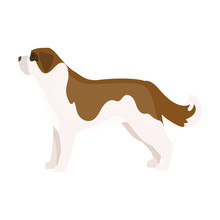 St. Bernard Dog Vector Icon In Cartoon Style For Web