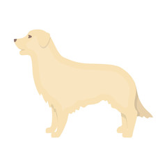 Wall Mural - Retriever vector icon in cartoon style for web