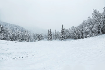 Canvas Print - Beautiful winter landscape