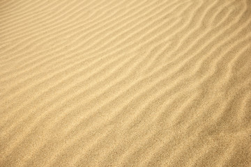  Sand Texture./ Sand Texture.