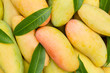 Ripe Mangoes stack with leaves top view