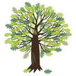 Vector illustration with oak tree