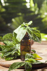 Mint Essential Oil