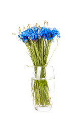 Sticker - Bouquet of cornflowers