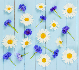 Wall Mural - Meadow flowers cornflowers and chamomile on blue background.