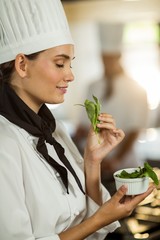 Wall Mural - Young female chef smelling herb