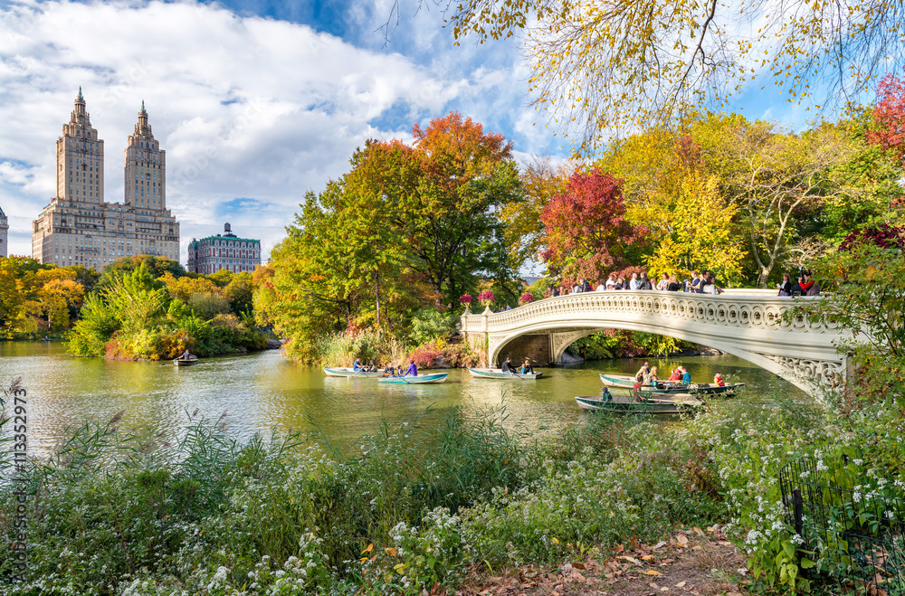Beautiful foliage colors of New York Central Park - obrazy, fototapety, plakaty 