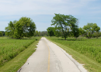 Wall Mural - Walking trail