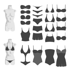 Vector illustration of swimsuits.