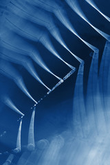 Wall Mural - spider web