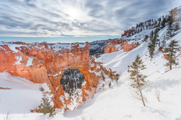 Wall Mural - Natural Bridge in winter at Bryce Canyon National Park