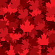 Canadian Maple leaf scatter pattern in vector format.