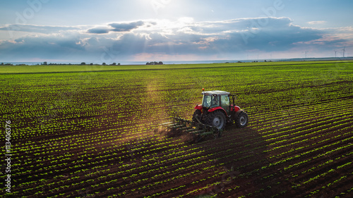 Fotomural Tractor cultivating field at spring