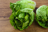 Fototapeta Kuchnia - Green salad