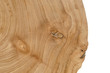 © sunlight19 - Cross section of elm tree trunk showing growth rings.