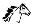 Horse head illustration design