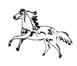 pferd illustration horse