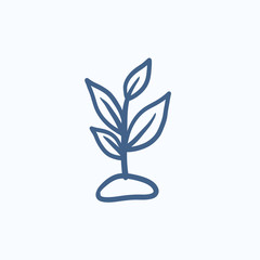 Poster - Sprout sketch icon.