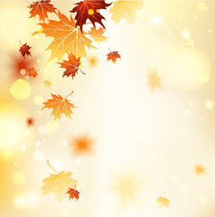 Wall Mural - fall background